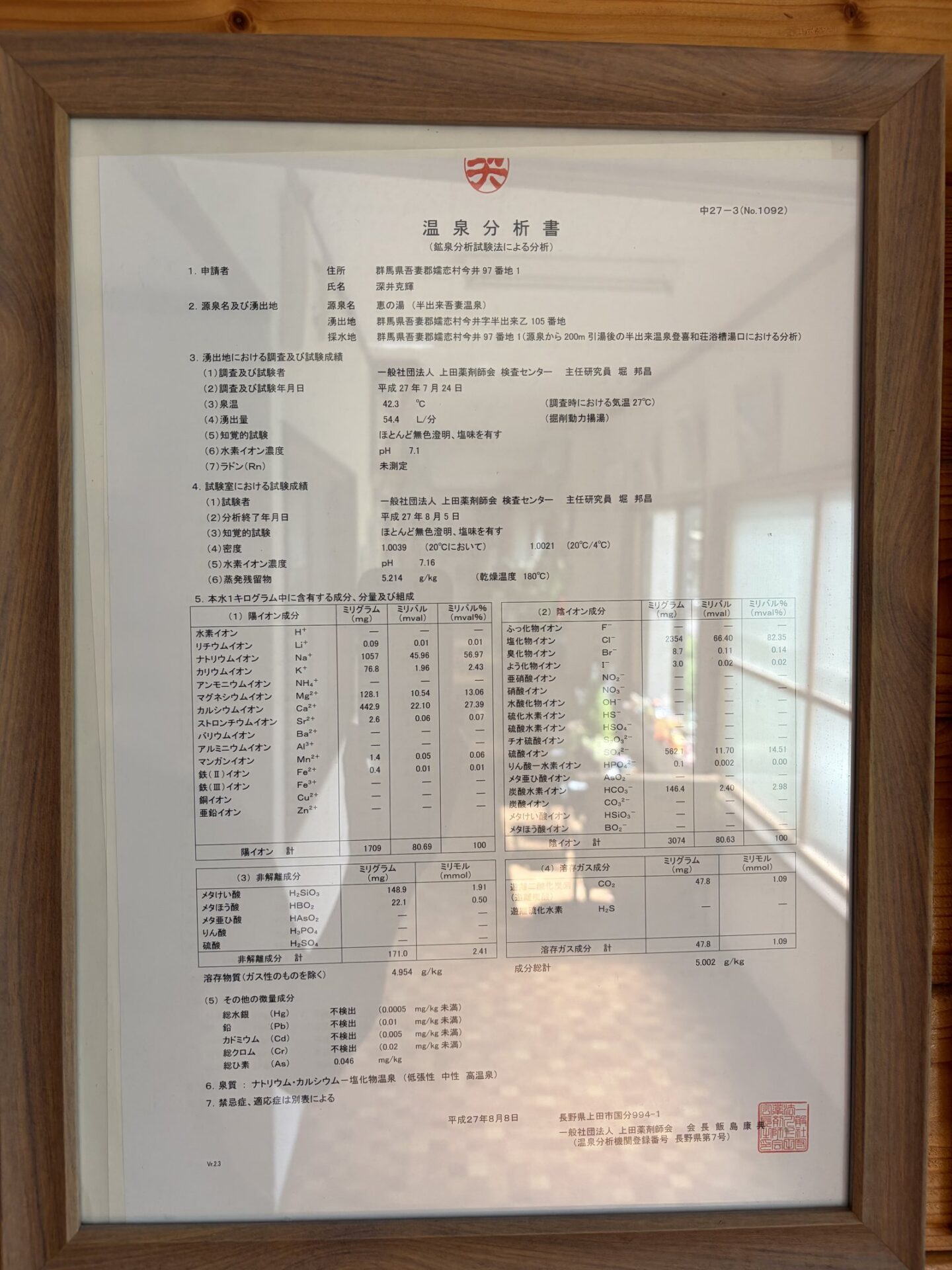 登喜和荘の温泉分析書・源泉名 恵の湯