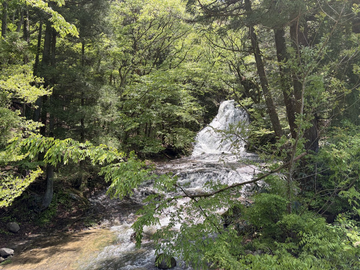 滝・新緑