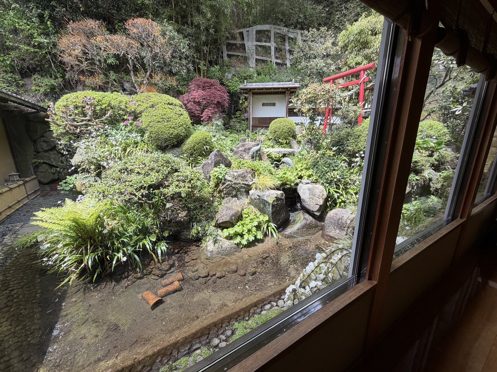 廊下の窓越しに見える日本庭園・太鼓橋・鳥居・祠