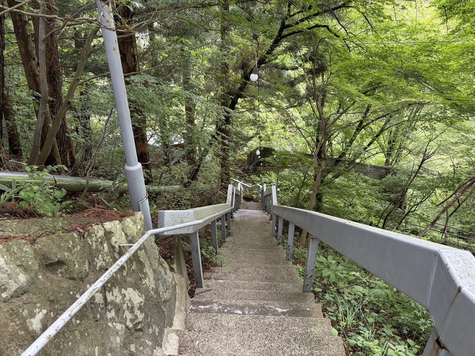 野天風呂への階段・木立に囲まれた長い下り階段、手すり付き