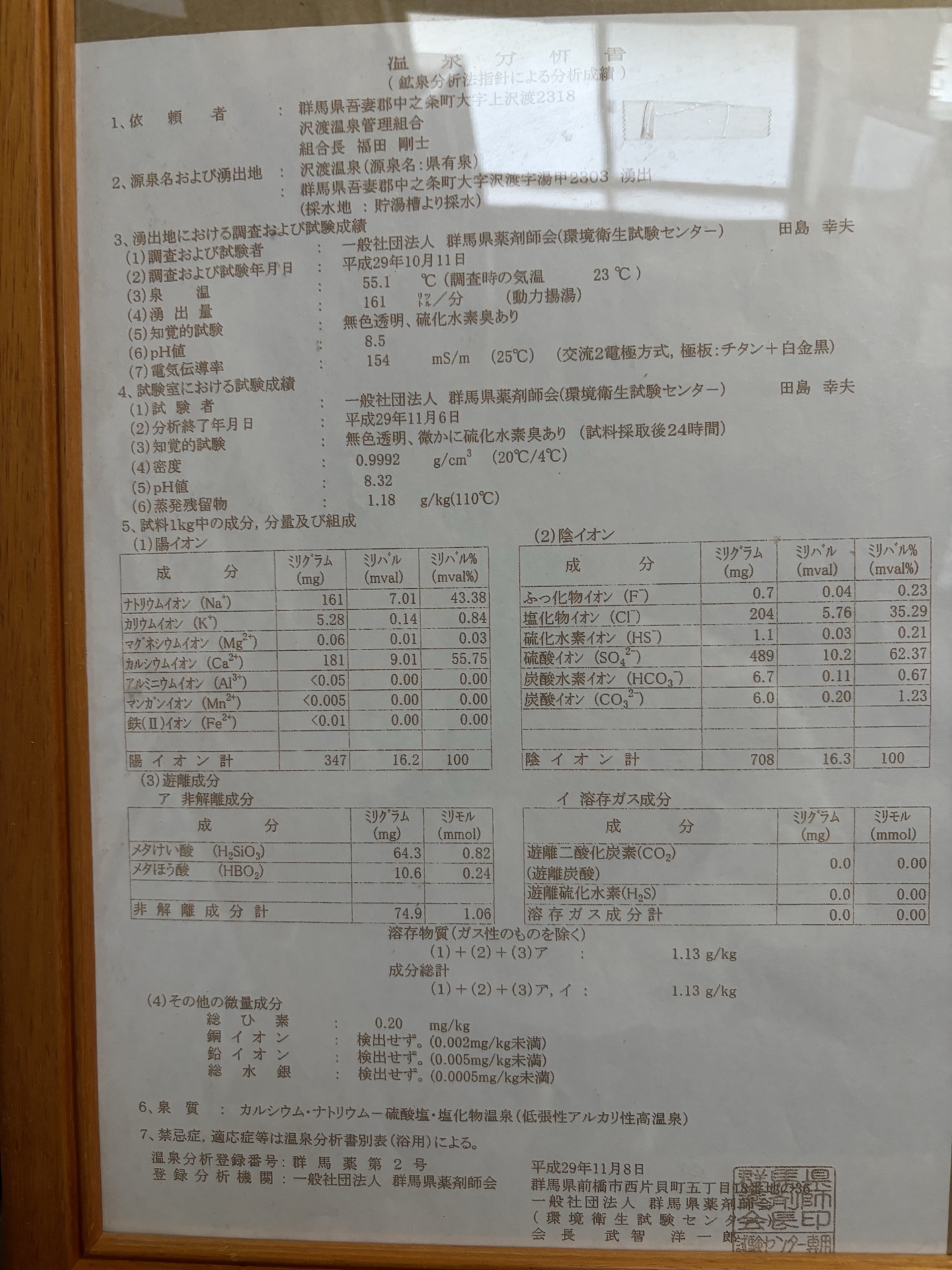 温泉分析書 — 群馬県薬剤師会 環境衛生試験センター 平成29年（2017年）分析