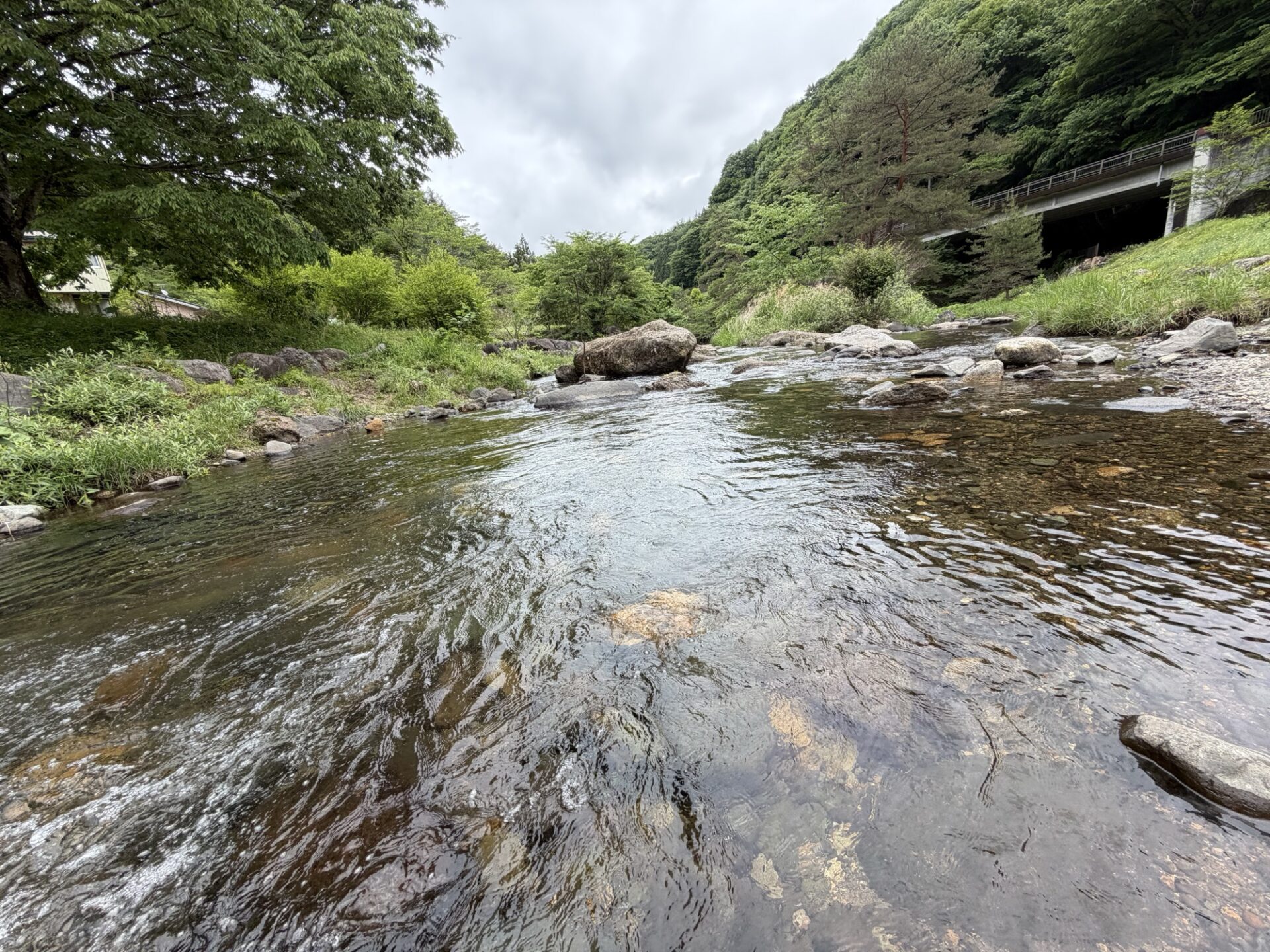 食後の散策で見かけた、沢渡温泉周辺の渓流
