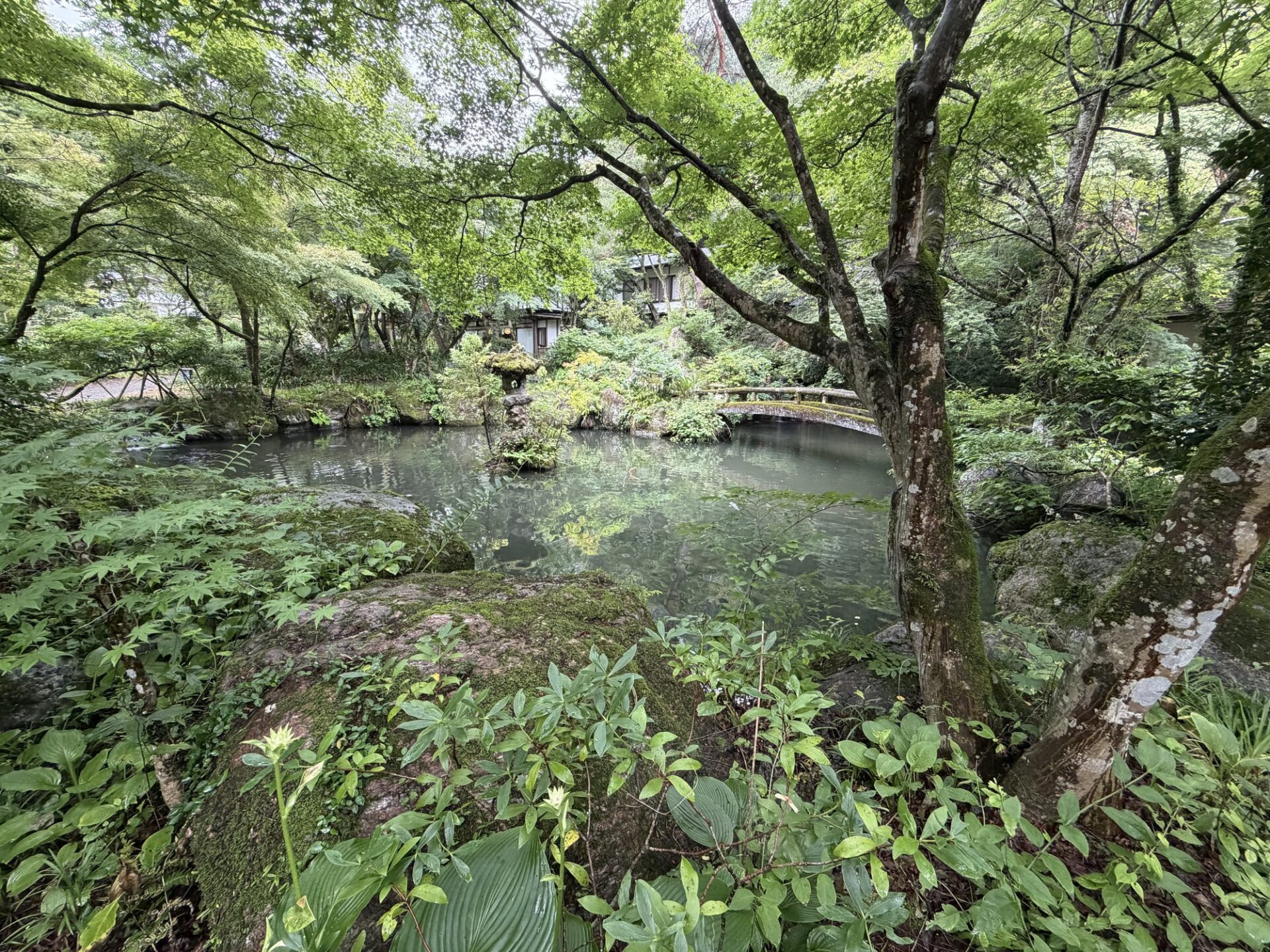 庭園の池と灯籠（緑に囲まれた水面）