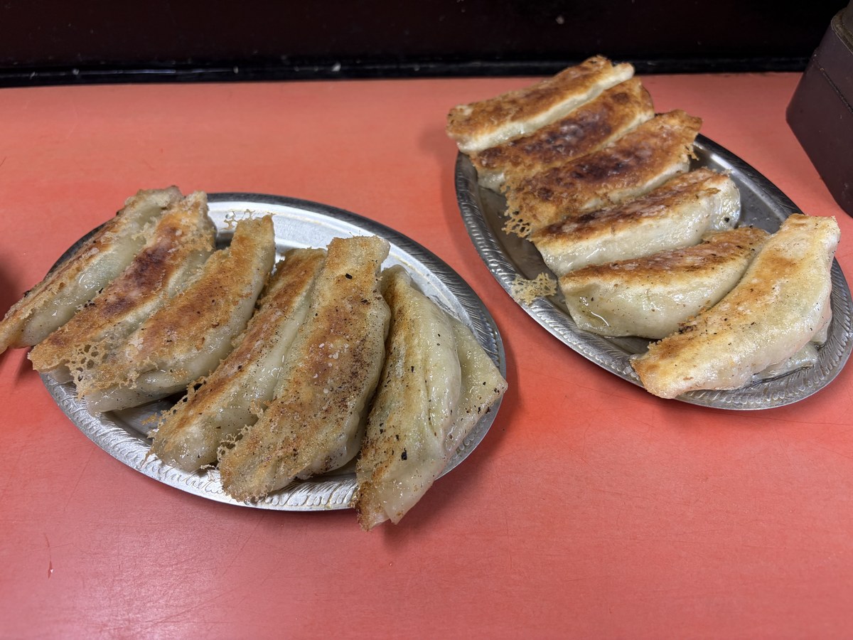 アルミ皿に盛られた羽根つきの焼き餃子。大ぶりで6個