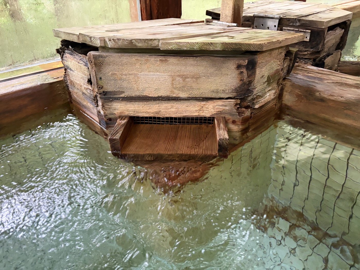 源泉そのままのぬる湯の湯口（緑がかった源泉）
