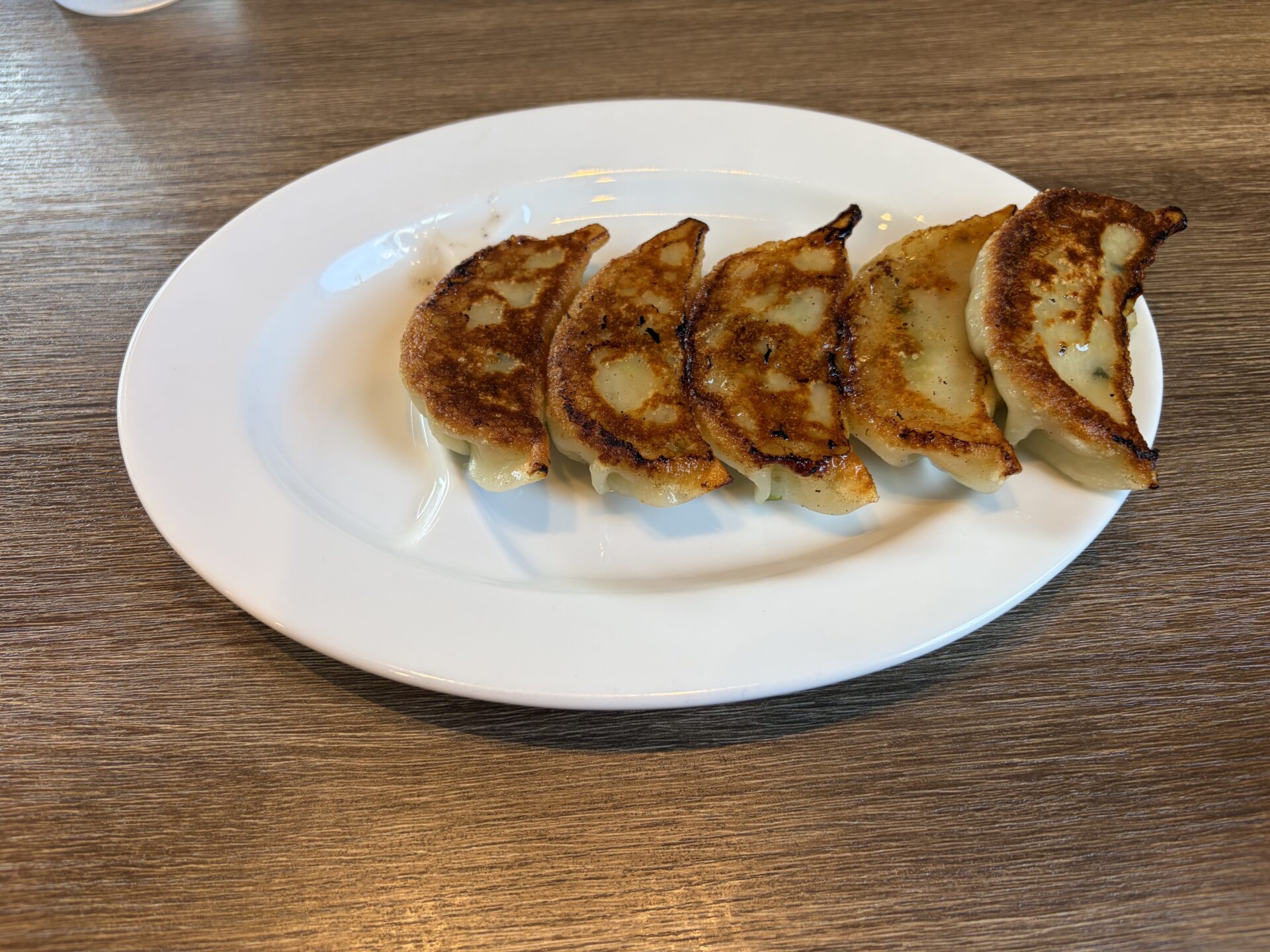 餃子5ヶ350円。きれいな焼き目のついた餃子が白い楕円皿に並ぶ