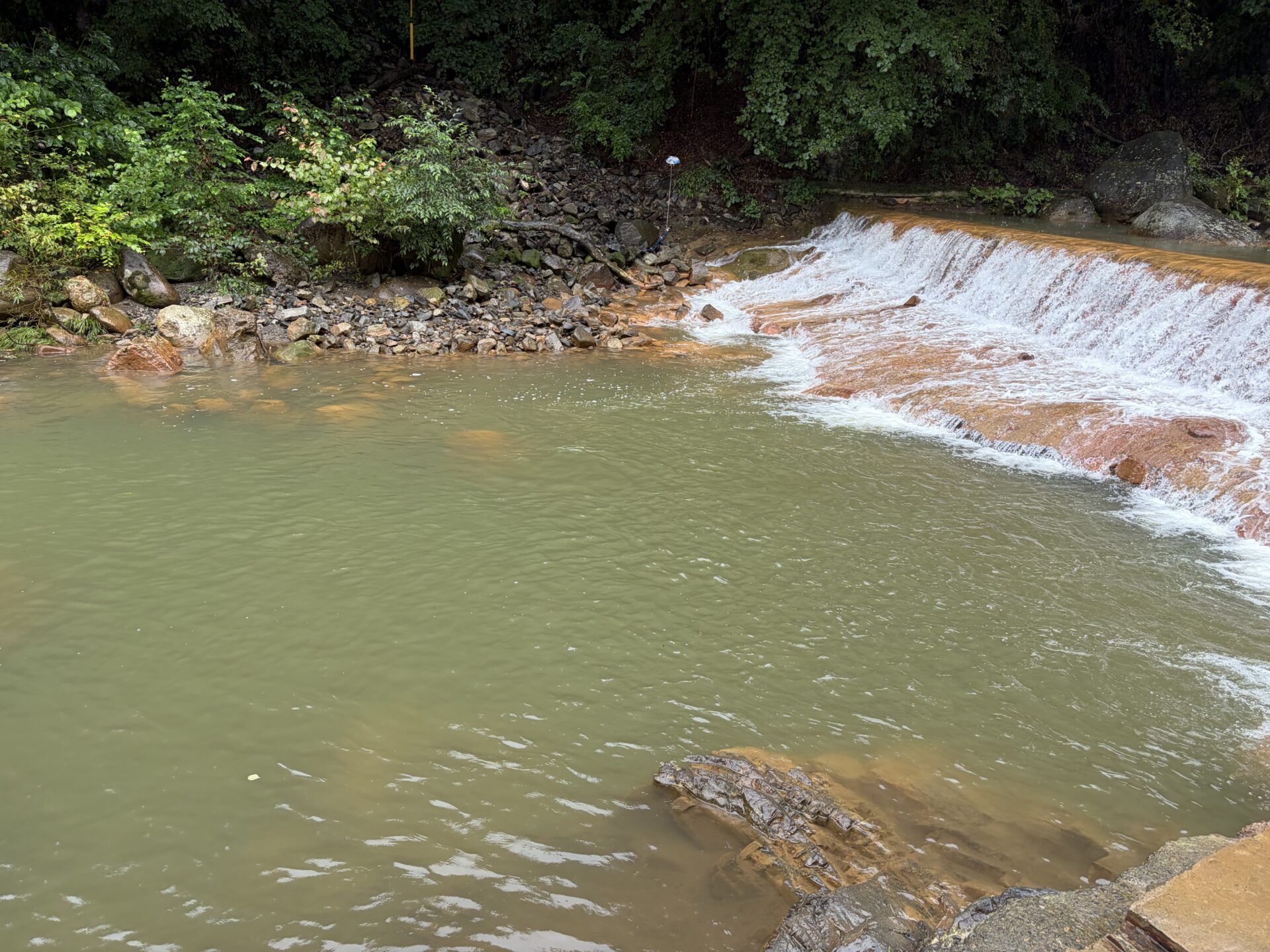 堰から流れ落ちる水。川の水量が多く、湯が薄まっているように見えた