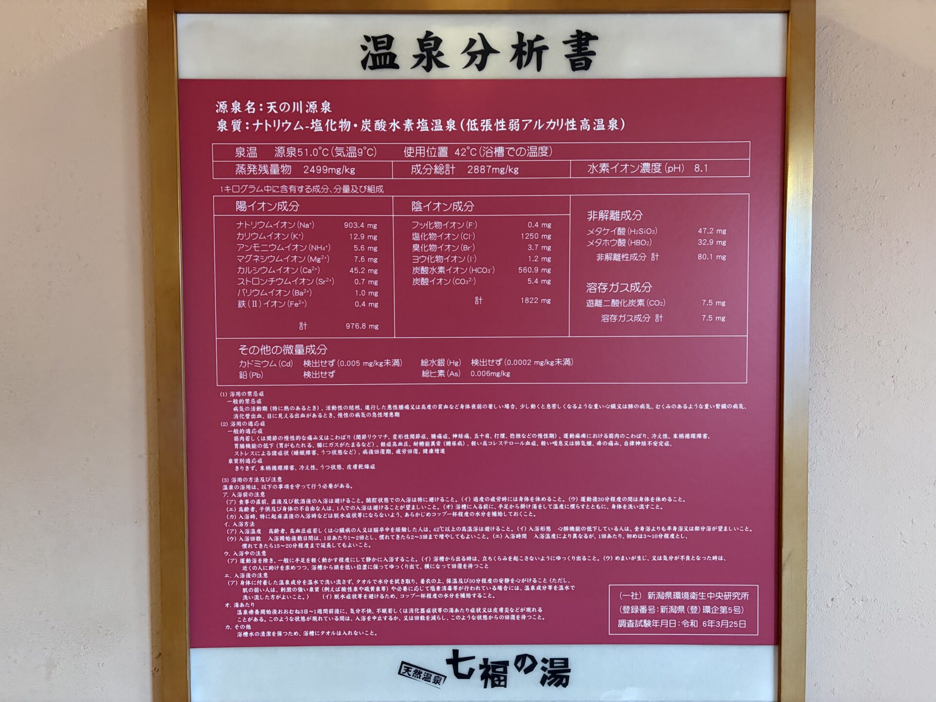 温泉分析書。源泉名 天の川源泉、令和6年3月25日調査、ナトリウム-塩化物・炭酸水素塩温泉