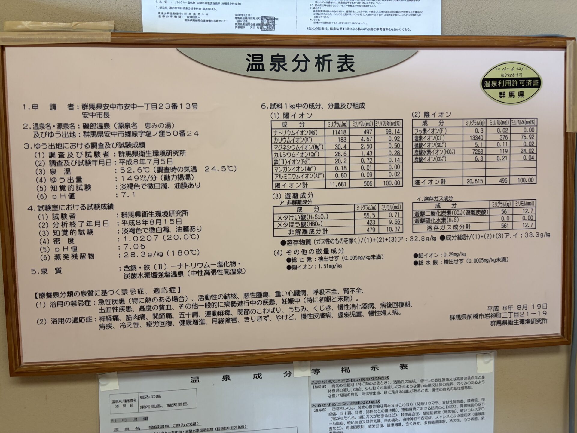 平成8年7月調査の温泉分析書。泉温52.6℃・pH7.1・含銅・鉄（II）－ナトリウム－塩化物・炭酸水素塩強塩温泉